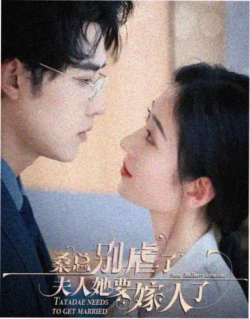 回声编辑部高清电视剧免费看